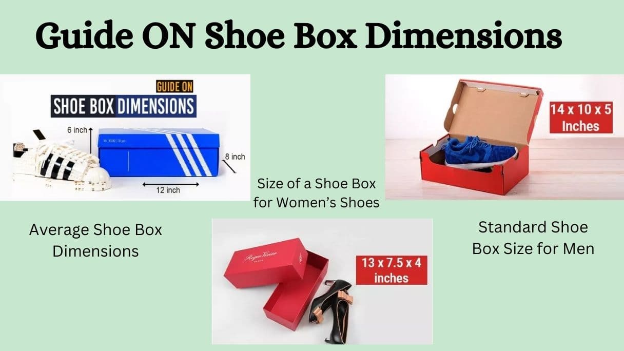 Guide on Shoe Box Dimensions