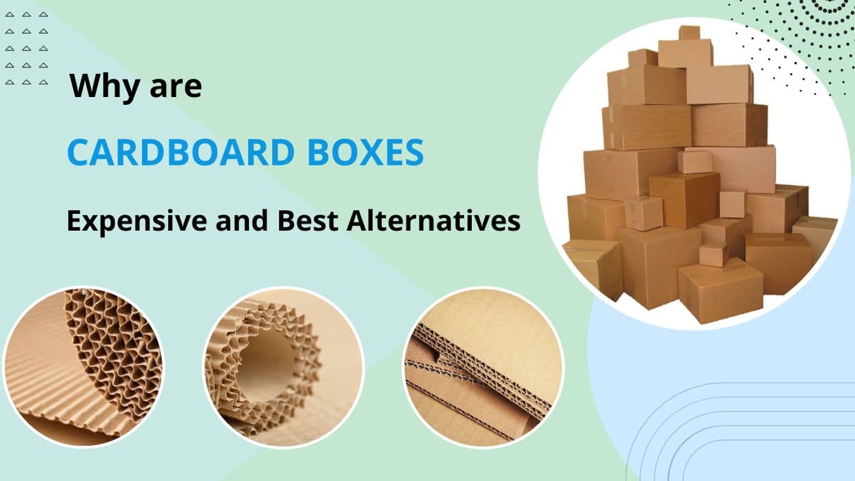 How To Get the Right Size of Mylar Bag A Ultimate Size Chart